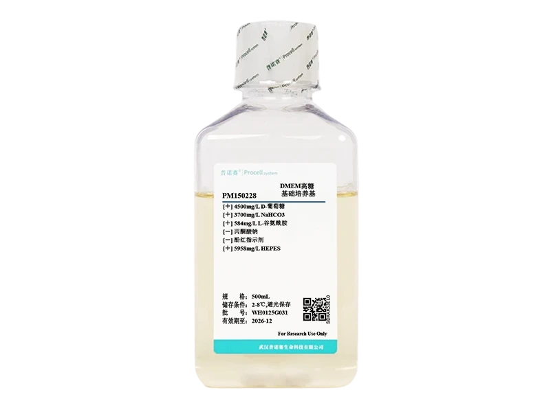 https://789.bio/ec/4g70Tu4X