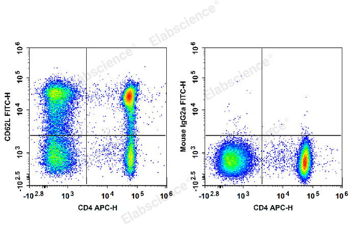 Human peripheral blood lymphocytes are stained with APC Anti-Human CD4 Antibody and FITC Anti-Human CD62L Antibody[HI62L] (Left). Lymphocytes are stained with APC Anti-Human CD4 Antibody and FITC Mouse IgG2a, κ Isotype Control (Right).