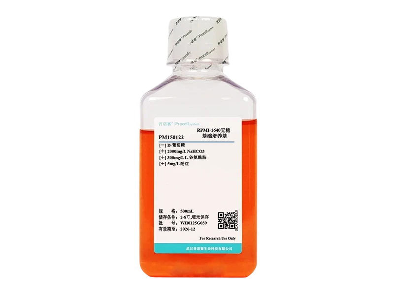 https://789.bio/ec/4juQCt0L