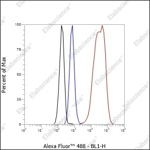 Recombinant HMGB1 Monoclonal Antibody - 5