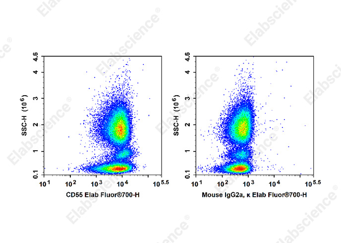 Elab Fluor® 700 Anti-Human CD55 Antibody[HI55a]-1