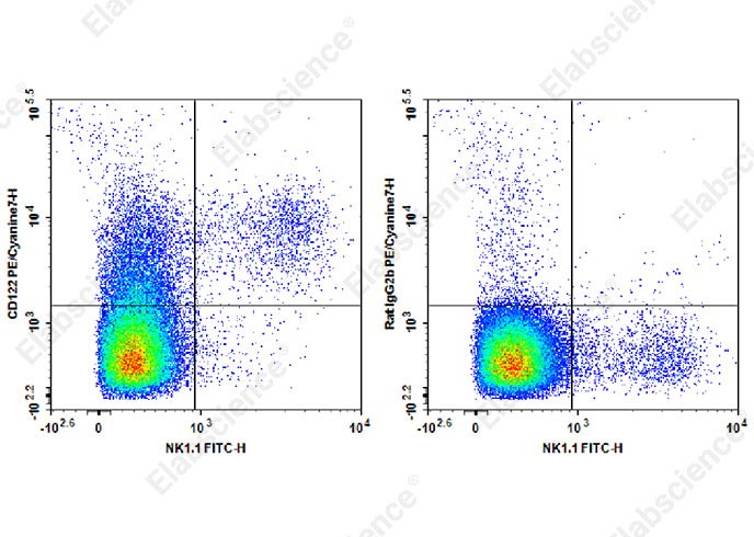 PE/Cyanine7 Anti-Mouse CD122 Antibody[TM-Beta 1]-1