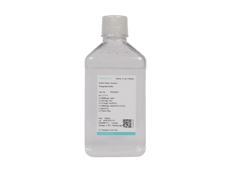 Phosphate Buffer (PBS, 1 &times;)