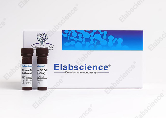 Mouse Bone Marrow-derived Dendritic Cells (BMDC) Culture and Identification Kit