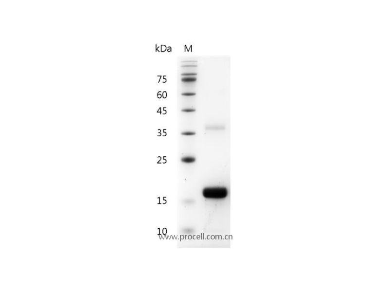 https://789.bio/ec/4xuWP0
