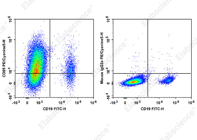 PE/Cyanine5 Anti-Human CD95/Fas Antibody[HFE7A/APO]-1