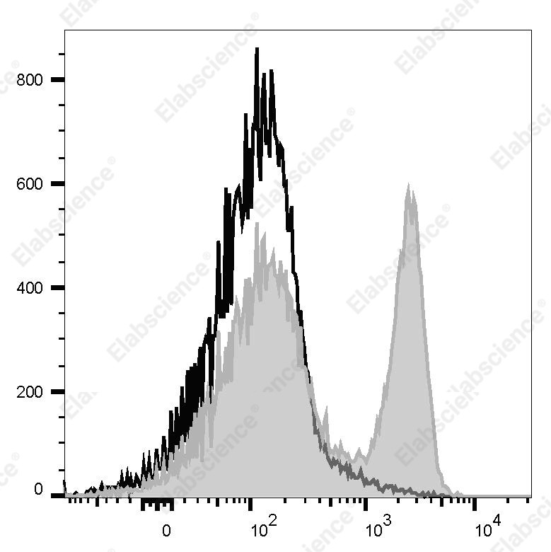 Elab Fluor<sup>&reg;</sup>Violet 450 Anti-Rat TCR α/β Antibody[R73] - 1