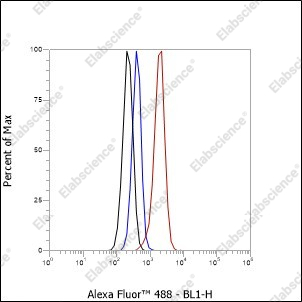 Recombinant Vitronectin/S-Protein Monoclonal Antibody - 5