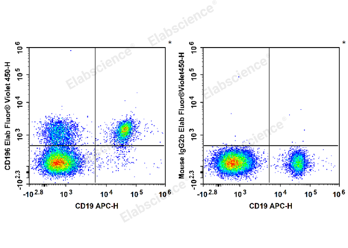 Human peripheral blood lymphocytes are stained with APC Anti-Human CD19 Antibody and Elab Fluor® Violet 450 Anti-Human CD196/CCR6 Antibody (Left). Lymphocytes are stained with APC Anti-Human CD19 Antibody and Elab Fluor® Violet 450 Mouse IgG2b, κ Isotype Control (Right).