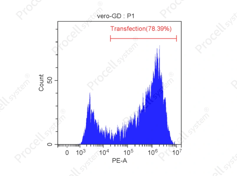 Mergene1000<sup>&reg;</sup> Vero Cell-Specific DNA Transfection Reagent - 2