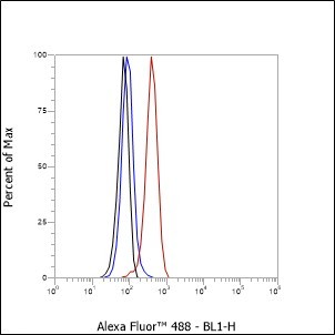 Recombinant eIF3G Monoclonal Antibody - small - 7
