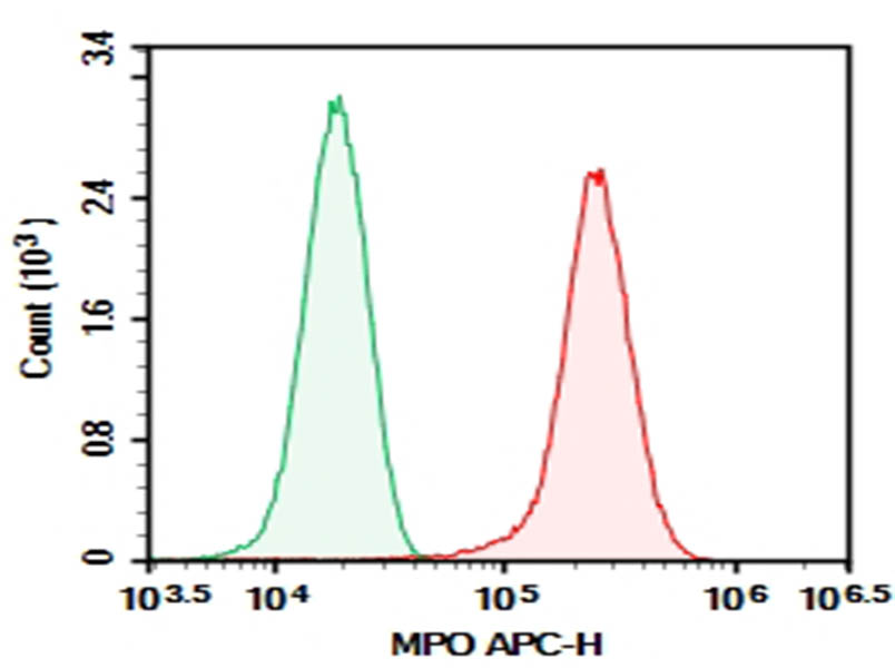 Purified Anti-Human MPO Antibody[1B10]-searchlist-1