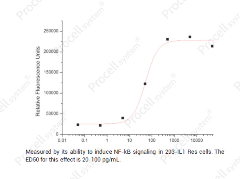 IL-1β/IL1F2, Human, RecombinantIL-1β/IL1F2, Human, Recombinant - 2