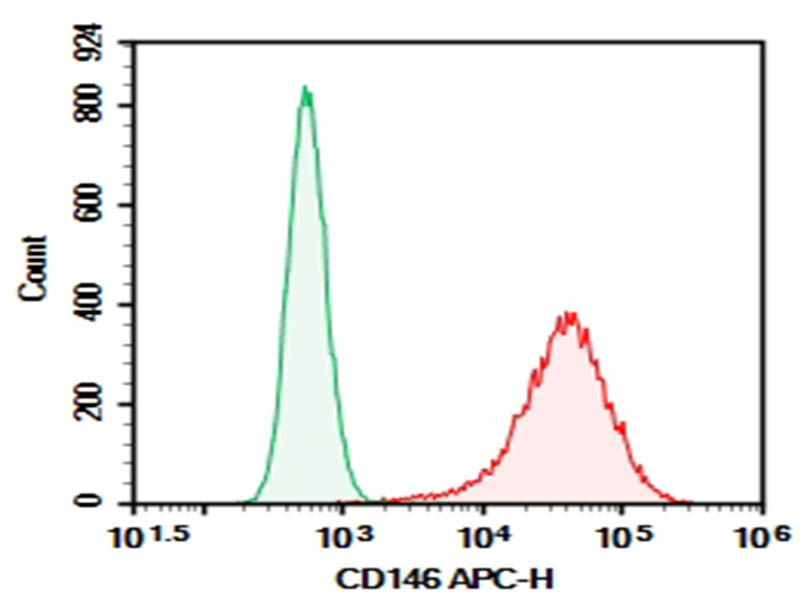 Purified Anti-Human CD146 Antibody[P1H12]-searchlist-1