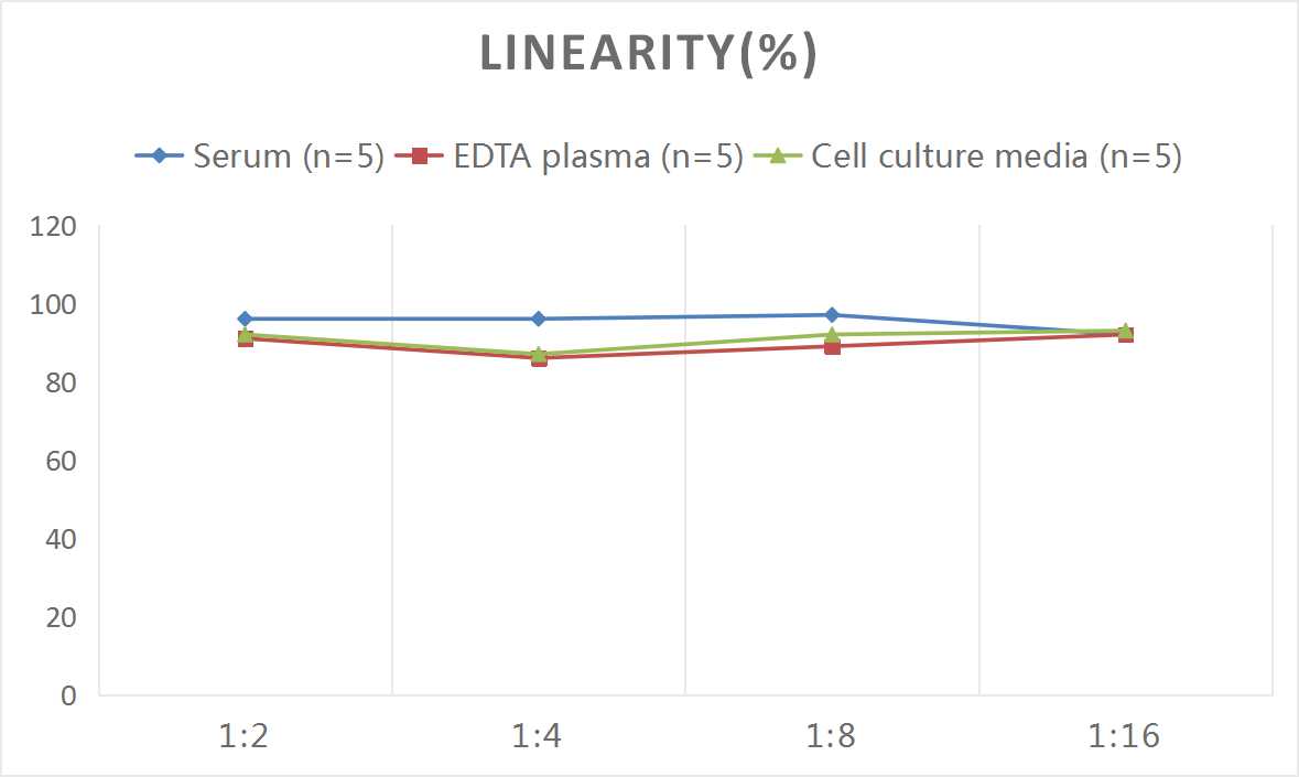 Human VLDL(Very Low Density Lipoprotein) ELISA Kit - 2