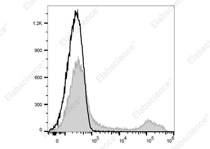 PE Anti-Rat CD71 Antibody[OX-26]-1
