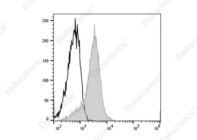 PE Anti-Human CD166 Antibody[3A6]-1
