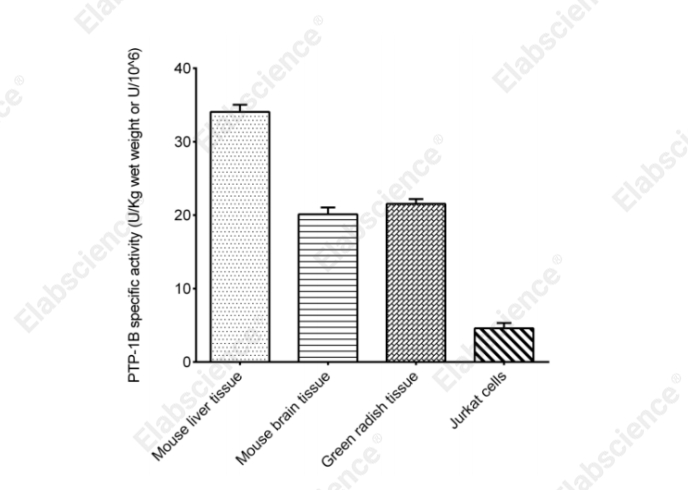 Protein Tyrosine Phosphatase-1B (PTP-1B) Activity Colorimetric Assay Kit - 2