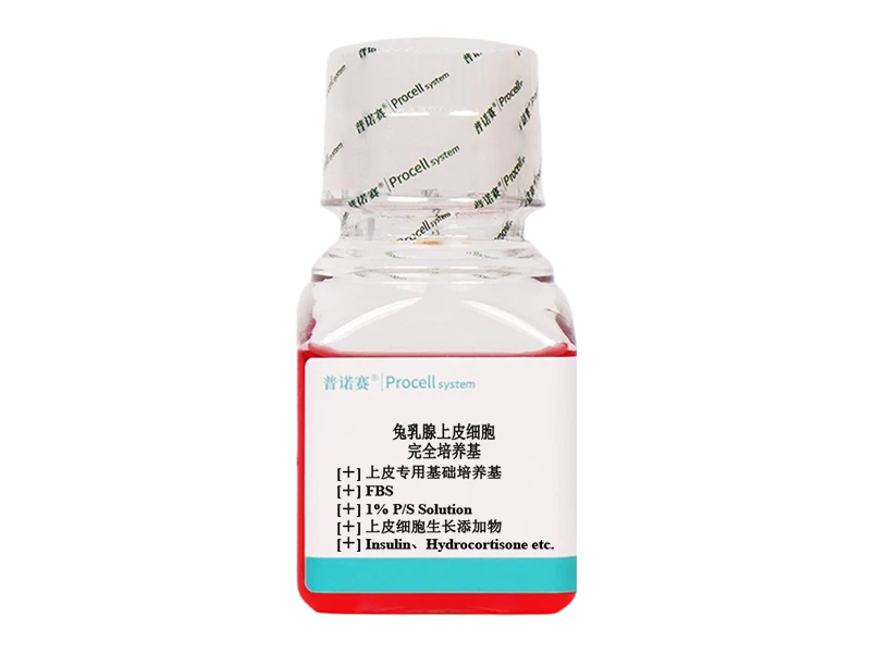 https://789.bio/ec/5KukdAEm