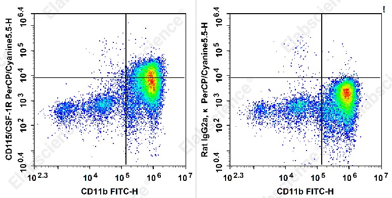 PerCP/Cyanine5.5 Anti-Mouse CD115/CSF-1R Antibody[AFS98] - 1