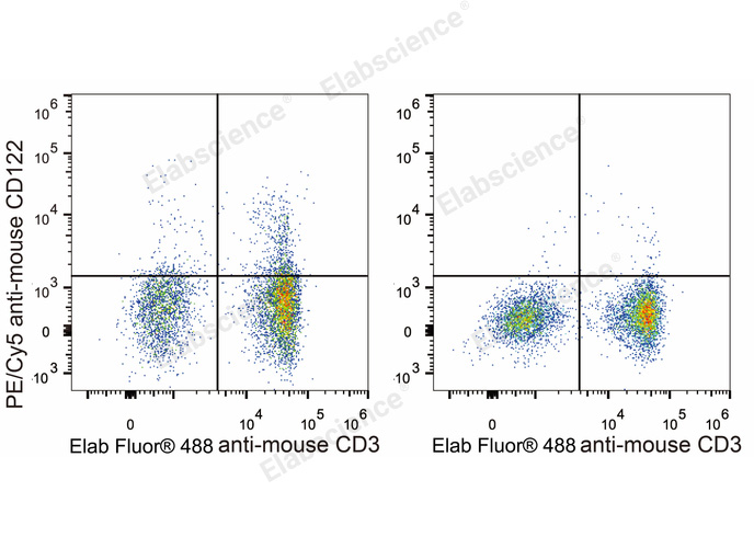 PE/Cyanine5 Anti-Mouse CD122/IL-2RB Antibody[5H4]-1