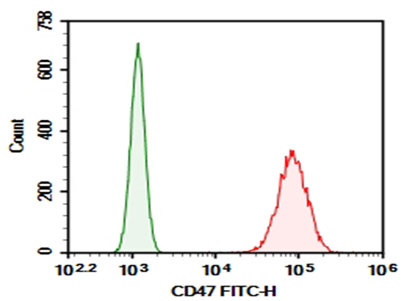 Purified Anti-Human CD371 Antibody[50C1]-产品推荐-1