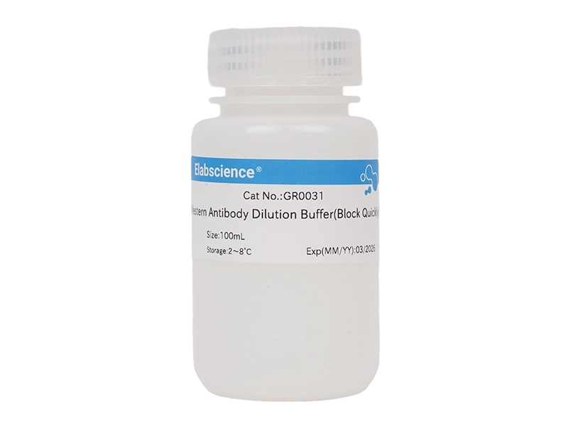 Western Antibody Dilution Buffer (Block Quickly)