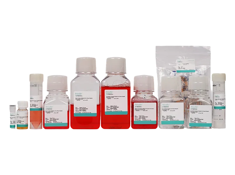 Mouse Hepatic Parenchymal Cells Isolation and Culture Kit - small - 2