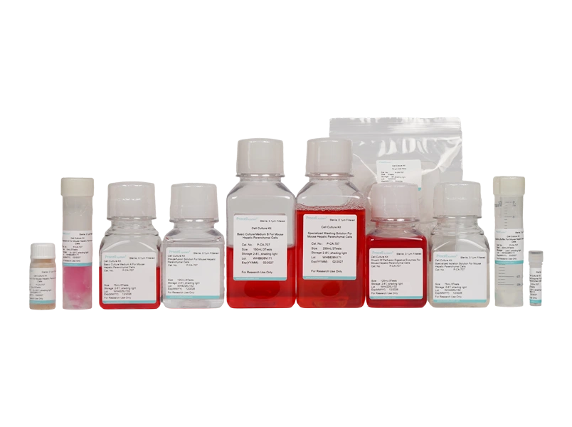 Mouse Hepatic Parenchymal Cell Isolation and Culture Kit