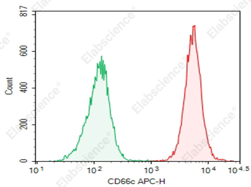 Purified Anti-Human CD66c Antibody[DA019] - 1
