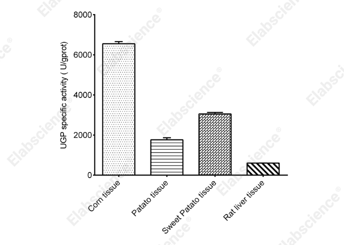 Uridine Diphosphate Glucose Pyrophosphorylase (UGP) Activity Assay Kit - 2