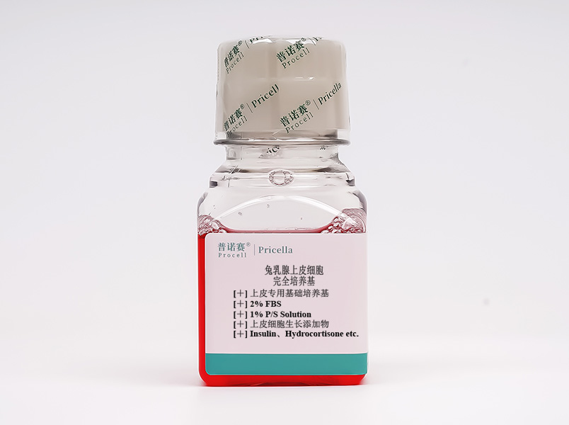 https://789.bio/ec/5dDVHK