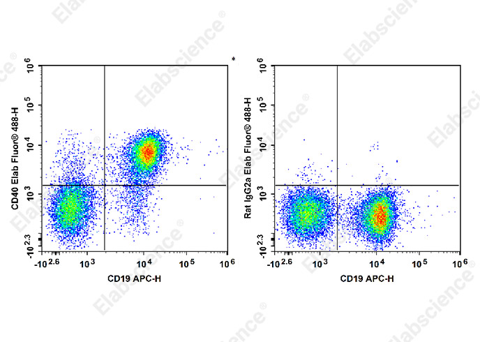 Purified Anti-Human CD20 Antibody[BCA/B20]-产品推荐-1