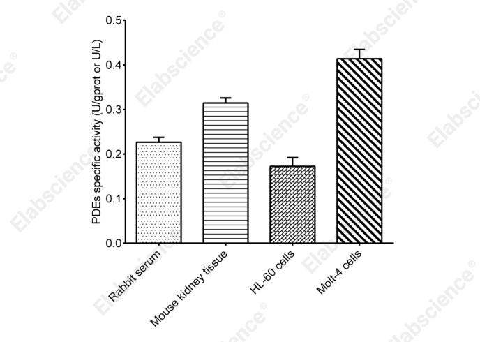 Total Phosphodiesterase (PDEs) Acitivity Colorimetric Assay Kit - 2
