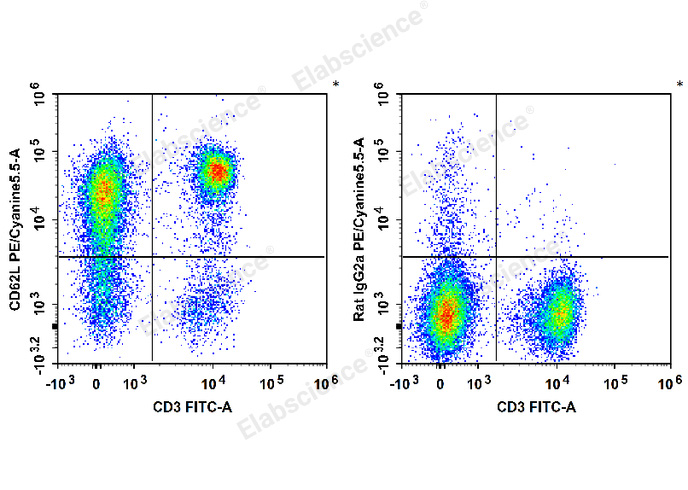 C57BL/6 murine splenocytes are stained with FITC Anti-Mouse CD3 Antibody and PE/Cyanine5.5 Anti-Mouse CD62L Antibody (Left). Splenocytes are stained with FITC Anti-Mouse CD3 Antibody and PE/Cyanine5.5 Rat IgG2a, κ Isotype Control (Right).