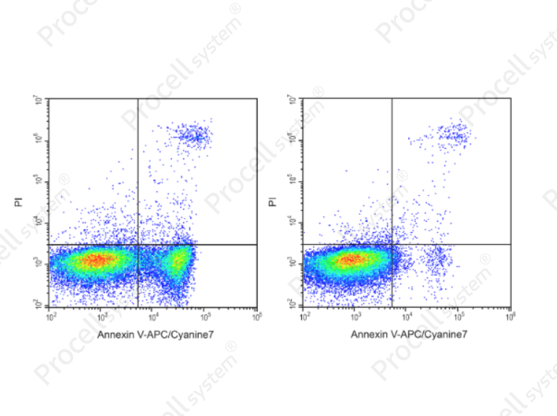 Annexin V-APC/Cyanine7 Reagent