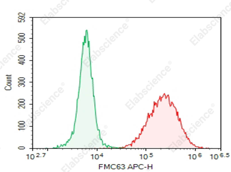 Purified Anti-FMC63 Antibody[E10631] - 1