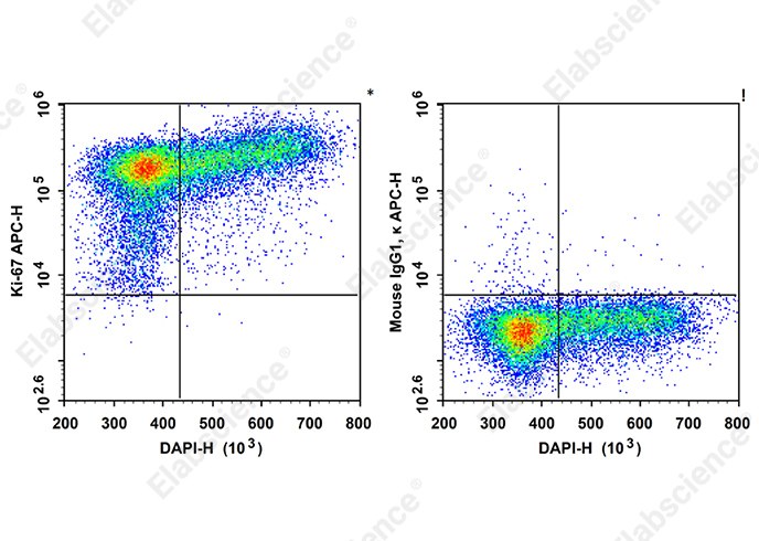 APC Anti-Human Ki-67 Antibody[3B7]-searchlist-1