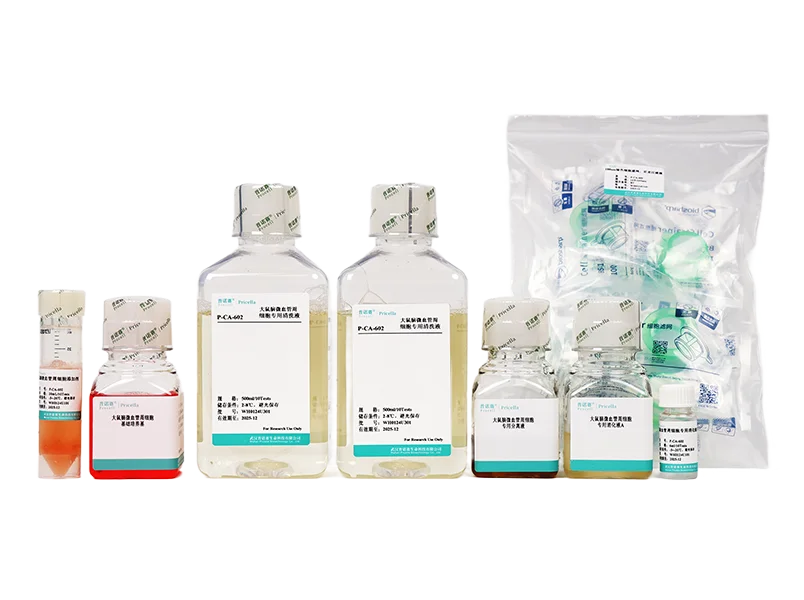 https://789.bio/ec/5l9VSK
