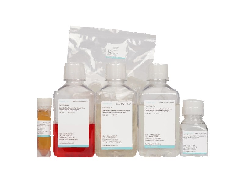 Mouse Bone Marrow-Derived Macrophage Isolation and Culture KitMouse Bone Marrow-Derived Macrophage Isolation and Culture Kit - 2