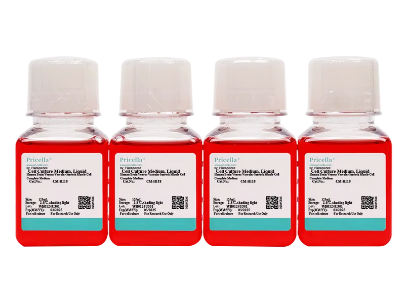 Human Brain Venous Vascular Smooth Muscle Cell Complete Medium - small - 2