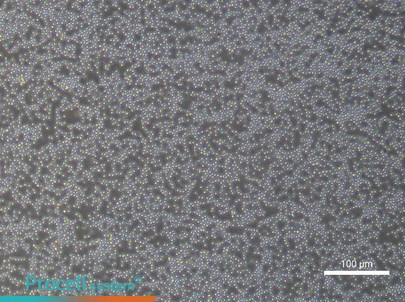 Human Peripheral Blood Mononuclear Cell Complete Medium - 2
