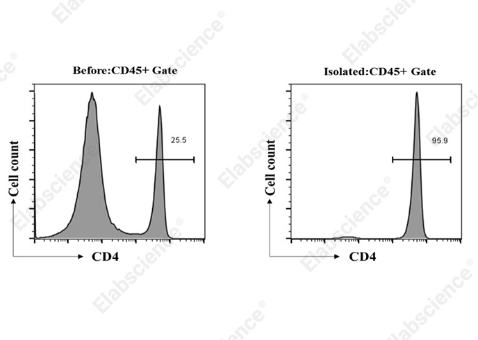 EasySort™ Mouse CD4+T Cell Isolation Kit-1