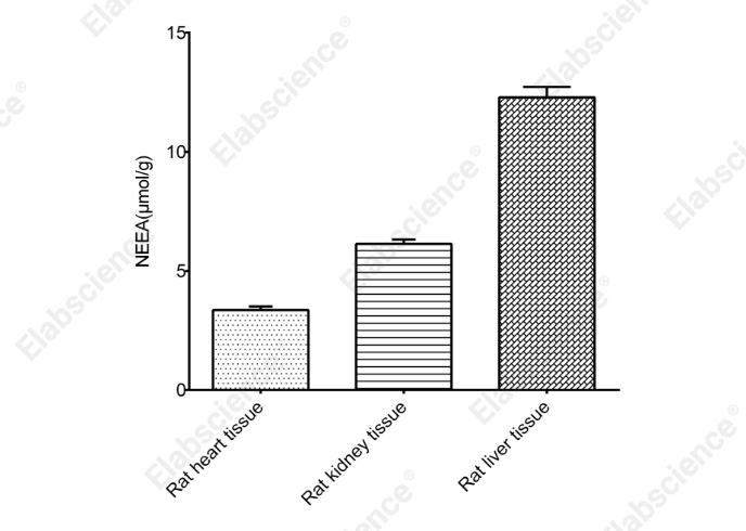 Non-esterified Free Fatty Acids (NEFA/FFA) Colorimetric Assay Kit - 2