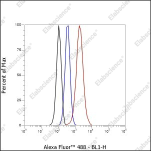 Recombinant Ly-6K Monoclonal Antibody - 2