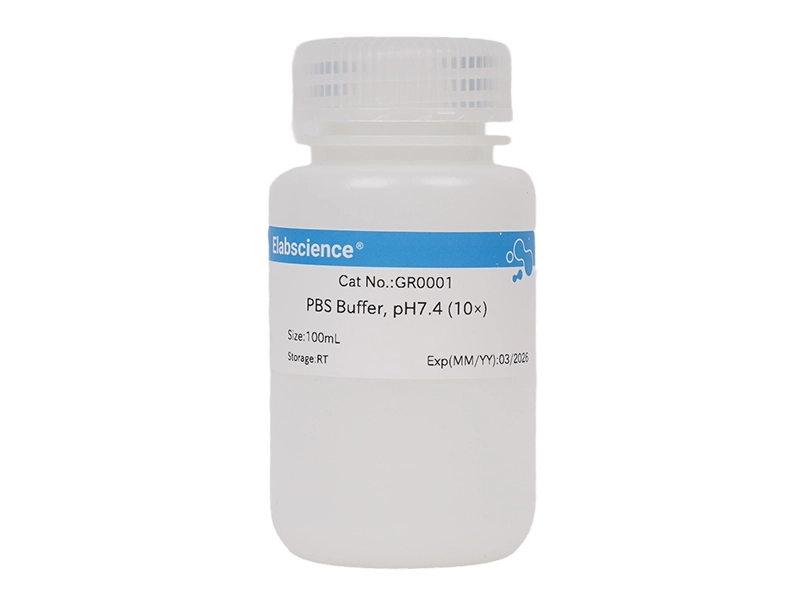 PBS Buffer, pH7.4 (10×)