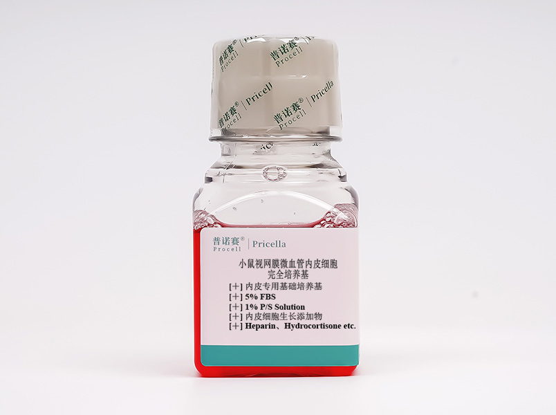 https://789.bio/ec/5tSl5C
