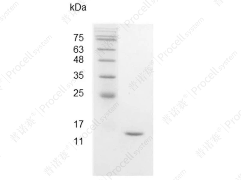 https://789.bio/ec/5taH08