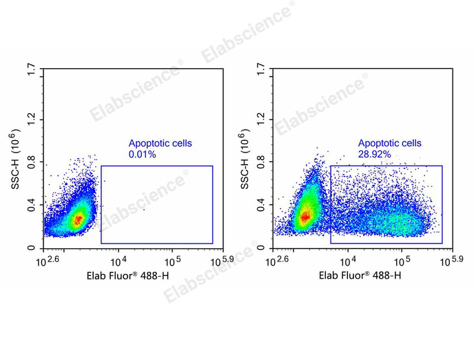 One-step TUNEL Flow Cytometry Apoptosis Kit (Green, Elab Fluor® 488)-1