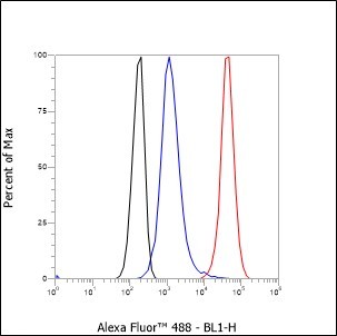 Recombinant CD168 Monoclonal Antibody - 3